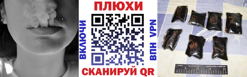 что такое   Суджа  Гашиш индика сатива 