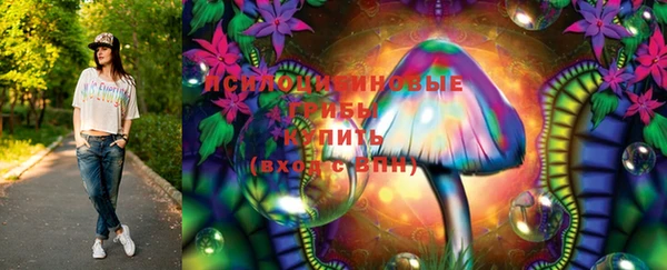 гашик Алзамай