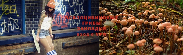 гашик Алзамай